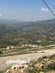 2 ارض للبيع في جرش مشروع عنيبه 17قطعة 3500متر بقوشان مستقل واصل الخدمات كامله اطلاله بنوراما مميزه جدا