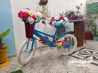  1 بسكليت مزين بورود اصطناعي