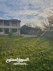 1 فيلا للبيع اربد (كفريوبا)