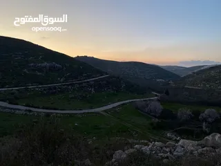  5 قطعة استثمارية مميزة – مشروع عصيرة 2