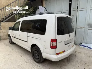  2 كادي شصي طويل