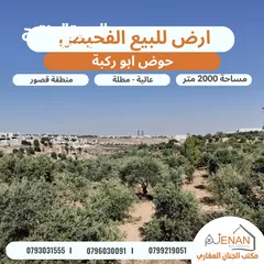  2 ارض مميزة للبيع بالقرب من دابوق حوض ابو ركبة مساحة 2000 متر تنظيم سكن اخضر منطقة قصور فخمة