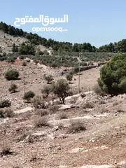  4 ارض للبيع 2 دنم جرش عنيبه سكان المهندسين