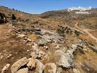  5 ارض بسعر مغري