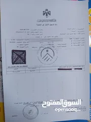  2 أرض للبيع في منطقة الفلل الغربية للرمثا (كوشان مستقل)