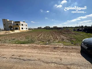  3 ارض للبيع في منطقة جرينة
