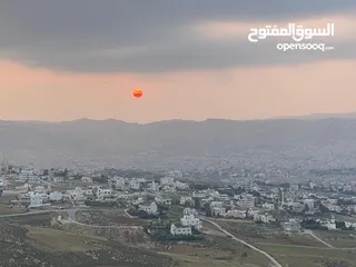  4 ارض مميزة في حي الضياء للبيع من المالك مباشرة
