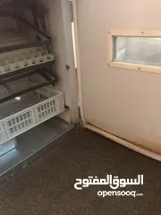  5 فقاسة فل اتوماتيك وكاله