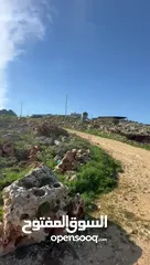  3 ارض للبيع في منطقة روجيب