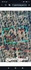  1 ارض زراعيه للبيع