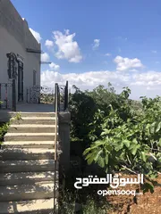  1 منزل منعزل مع حديقة فواكه 3 غرف صاله مجلس بلكون مطبخ مجهز مواقف سيارات