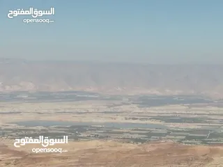  1 ارض 15 دنم السلط البطين اطلالة غربية كاملة ع جبال فلسطين