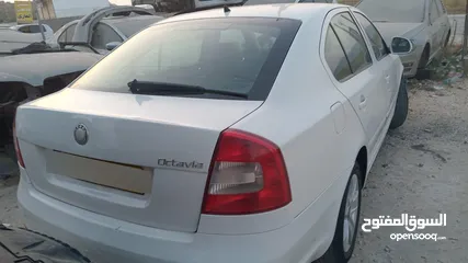  2 سكودا رمش قانوني أسرائيلي 2010