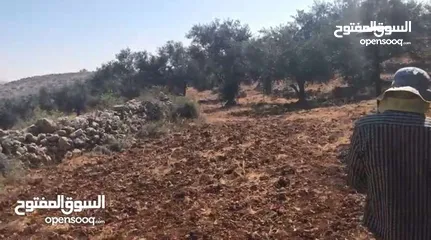  7 تملّك أرض مميزة