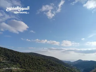  18 بيت العز والكرم