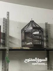  7 اقفاص خشب نظاف بحاله ممتازه للبيع
