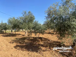  11 قطعتان ارض للبيع احدهما تجاري و الاخرى سكني ب على مدخل ذيبان /مادبا