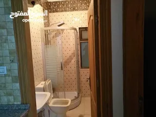  11 ستوديو للإيجار شارع الجامعه من المالك مباشرة