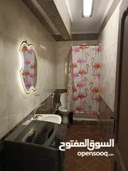  4 شقه فندقيه بشارع أحمد فخري مدينه نصر للأيجار اليومي من المالك بدون عمولات