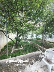  1 فيلا للبيع دوبلكس مع حديقه كبيره في ابو نصير خلف مركز صحي
