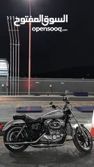  10 Harley sportster XL883 L بحالة الوكاله وصيانة الشركه