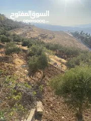  2 مزرعة للبيع