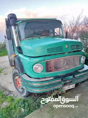  1 قلاب فطس للبيع