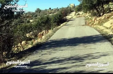  13 أرض استثماريه مميزه بجبال عجلون السياحيه