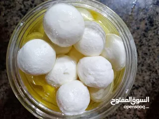  5 مقدوس للبيع
