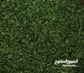  6 ام احمد للتواصي الموقع عمان القويسمه جبل الحديد