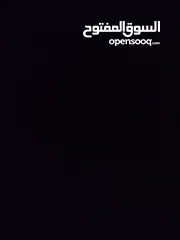  13 حساب بلوكس فروت للبيع  لفل 550  فواكه نادرة  فلوس 2,500,000  توزيع ممتاز  قابل للتفاوض