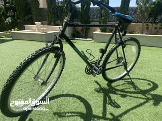  2 بسكليت امريكي