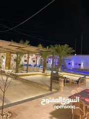  7 شليهت لليجار اليومي