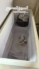  2 فريزر بحاله جيده جدا للبيع منطقة بوقوه الحجم كبير جدا