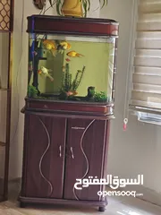  2 حوض سمك للبيع يشمل الاسماك وكل مستلزمات الحوض