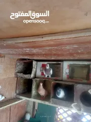  13 حمام للبيع