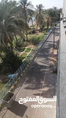  1 مجمع تجاري جديد للبيع بموقع مميز ومطل على البحر/ العقبة -الرقم المرجعي 48130