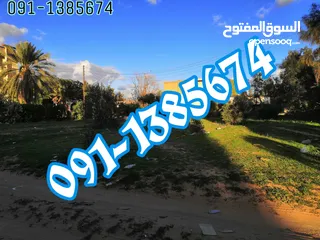  3 للايجار مبنى 3 طوابق بأرض7000م بالقرب من قصر بن غشير
