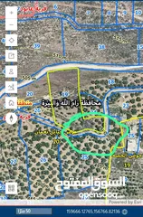  1 ارض دير نظام