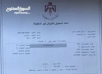  2 ارض للبيع شارع الاردن ( ام زويتينا )
