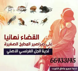  12 شركة الرحمة لمكافحة الحشرات والقوارض جميع مناطق الكويت خدمة 24 ساعة علي مدار اليوم