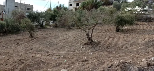 2 ارض صالحة للبناء