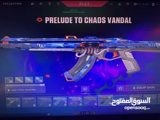  7 حساب فالورانت للبيع