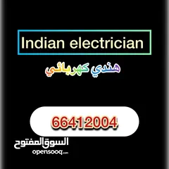  2 Indian electrician