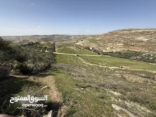  18 ارض للبيع قرمية حسبان 3100 متر لكامل القطعة قابل للأقساط