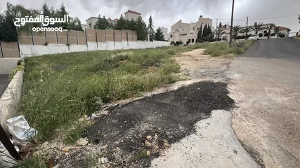  3 قطعة أرض مميزة في دابوق