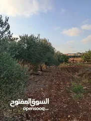  8 اعلان عن ارض