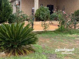  9 مزرعة للبيع. هكتار  في بنغازي. الكويفية