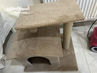  3 منزل قطط جديد