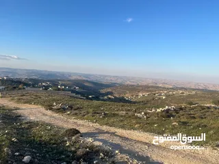  8 ارض الكمشة - استثمارية عالية و مطلة ( راس جبل)  قريب شارع الاردن 4 دونم إطلالة بانورامية مطلة